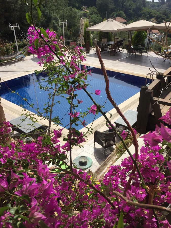 The Stone Castle Boutique Hotel Agacli  Luaran gambar